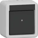 GIRA 310730 Wippschalter Aufputz IP44 Kreuzschalter | grau