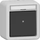 GIRA 315630 Wipptaster Aufputz IP44 Wechsler, Schriftfeld | grau