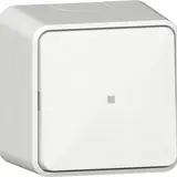 GIRA 315613 Wipptaster Aufputz Wechsler | reinweiß