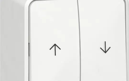 GIRA 315813 Aufputz-Jalousietaster 2-fach | reinweiß