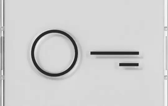 GIRA 321800 Wippe mit abtastbarem Symbol System 55 Tür