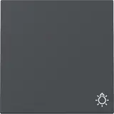 GIRA 328528 beschr. Wippe System 55 1-fach, Licht | anthrazit
