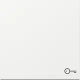 GIRA 328703 beschr. Wippe System 55 1-fach, Tür | reinweiß glänzend