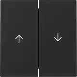 GIRA 3294005 Jalousiewippe System 55 2-fach | schwarz matt