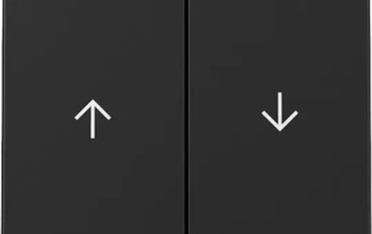 GIRA 3294005 Jalousiewippe System 55 2-fach | schwarz matt