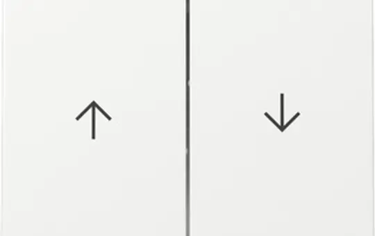 GIRA 329403 Jalousiewippe System 55 2-fach | reinweiß glänzend