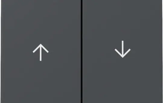 GIRA 329428 Jalousiewippe System 55 2-fach | anthrazit