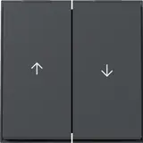 GIRA 329467 Jalousiewippe TX_44 2-fach | anthrazit