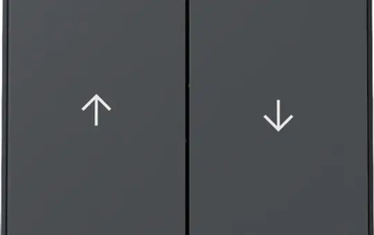 GIRA 329467 Jalousiewippe TX_44 2-fach | anthrazit