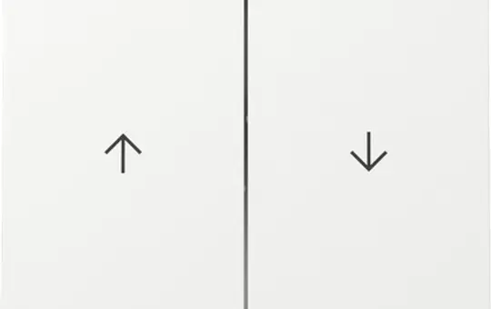 GIRA 329470 Jalousiewippe System Fläche 2-fach | reinweiß