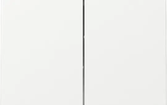 GIRA 329503 Wippe System 55 2-fach | reinweiß glänzend