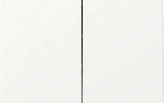 GIRA 329527 Wippe System 55 2-fach | reinweiß matt