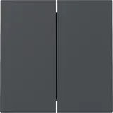 GIRA 329528 Wippe System 55 2-fach | anthrazit