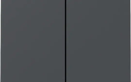 GIRA 329528 Wippe System 55 2-fach | anthrazit