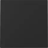 GIRA 3296005 Wippe System 55 1-fach | schwarz matt