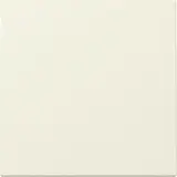 GIRA 329601 Wippe System 55 1-fach | cremeweiß