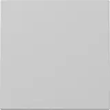 GIRA 3296015 Wippe System 55 1-fach | grau matt