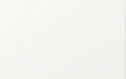 GIRA 329627 Wippe System 55 1-fach | reinweiß matt