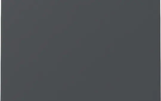 GIRA 329628 Wippe System 55 1-fach | anthrazit