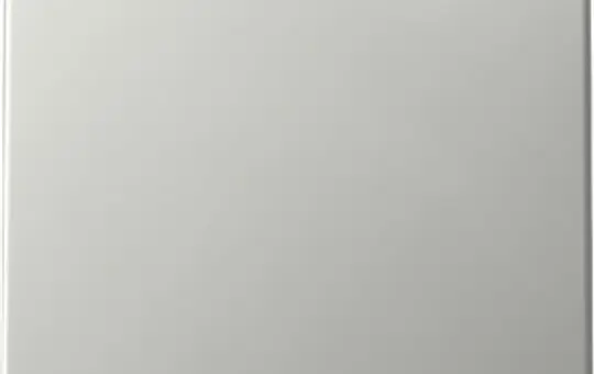 GIRA 3296600 Wippe System 55 1-fach | edelstahl