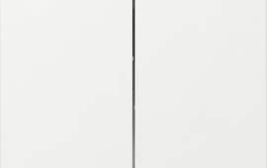 GIRA 349503 Wippe System 55 2-fach, gerade | reinweiß glänzend