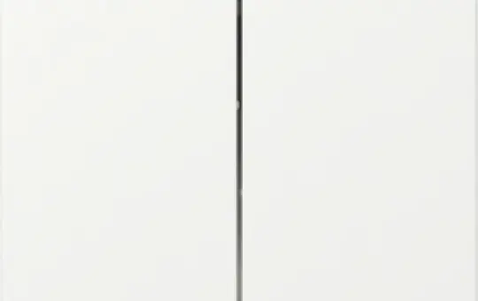 GIRA 349527 Wippe System 55 2-fach, gerade | reinweiß matt