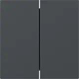 GIRA 349528 Wippe System 55 2-fach, gerade | anthrazit