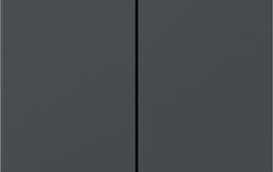 GIRA 349528 Wippe System 55 2-fach, gerade | anthrazit