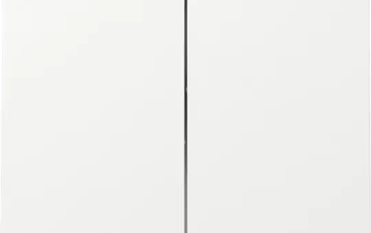 GIRA 329570 Wippe System Fläche 2-fach | reinweiß glänzend