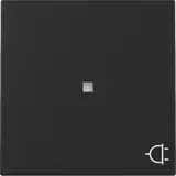 GIRA 3291005 beschr. Kontrollwippe System 55 1-fach, Steckdose | schwarz matt