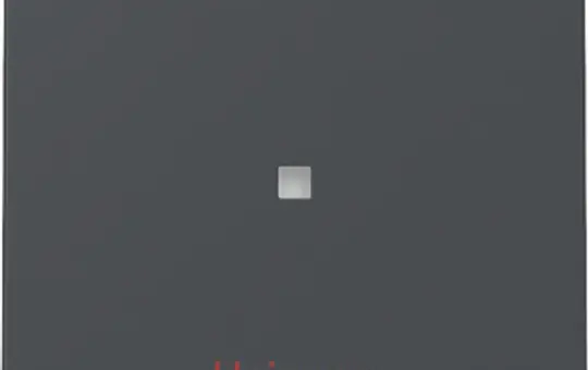 GIRA 367828 beschr. Kontrollwippe System 55 1-fach, Heizung | anthrazit