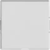 GIRA 367600 Wippe groß System 55 1-fach, Schriftfeld