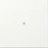 GIRA 329027 Kontrollwippe System 55 1-fach | reinweiß matt