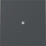 GIRA 329028 Kontrollwippe System 55 1-fach | anthrazit