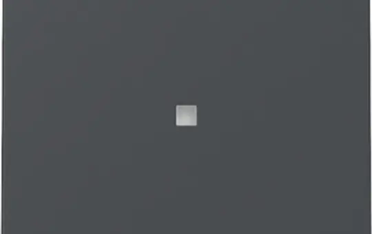 GIRA 329028 Kontrollwippe System 55 1-fach | anthrazit