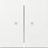 GIRA 363103 Kontrollwippe System 55 2-fach | reinweiß glänzend