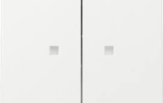 GIRA 363103 Kontrollwippe System 55 2-fach | reinweiß glänzend