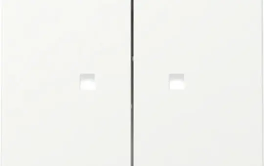 GIRA 363127 Kontrollwippe System 55 2-fach | reinweiß matt