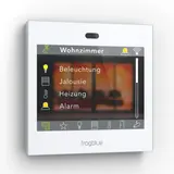 MOBOTIX Mx-A-FrogDisplay frogblue Display Innenstation 3 W | weiß