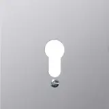 GIRA Metallabdeckung WG AP 