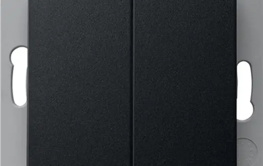 GIRA 2422005 EnOcean-Funk-Wandsender batterielos System 55 2-fach | schwarz matt