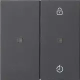 GIRA 549328 eNet Funk Bedienaufsatz System 55 2-fach | anthrazit