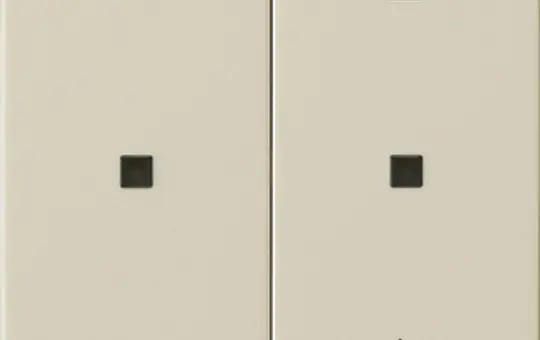 GIRA 549301 eNet Funk Bedienaufsatz System 55 2-fach | cremeweiß glänzend