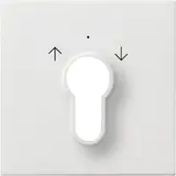 GIRA 0664112 Schlüsselschalter-Abdeckung System 55 Pfeile, für Schlüsseltaster | reinweiß glänzend