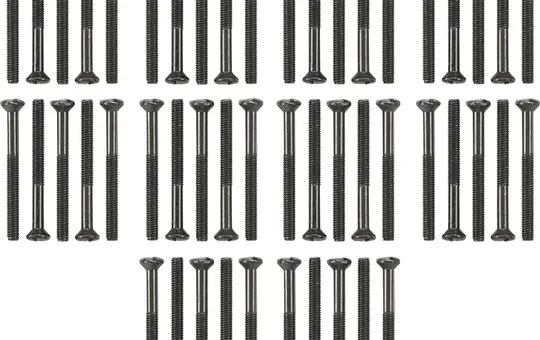 GIRA 818100 Schraubenset WG AP Linsenkopfschrauben