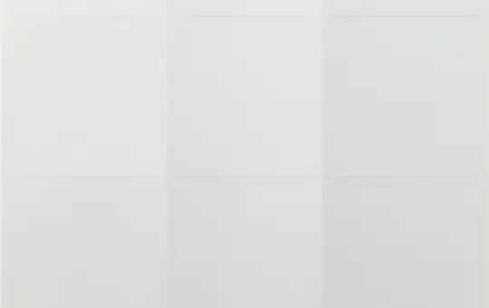 GIRA 2871112 Beschriftungsbögen für System Fläche reinweiß | 69x67 mm