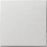 GIRA 013803 Kurzhubtaster System 55 1-polig | reinweiß glänzend