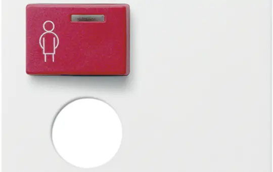 GIRA 022703 Abdeckung für Rufmodul System 55 Rufeinheit mit Ruftaster | reinweiß glänzend