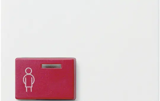 GIRA 022927 Abdeckung für Ruftaster System 55 Standard | reinweiß seidenmatt