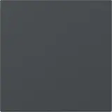 GIRA 349628 Wippe System 55 1-fach, gerade | anthrazit